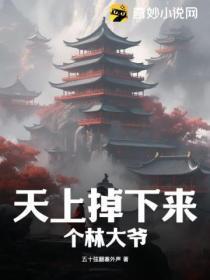 天上掉下来个林大爷免费观看