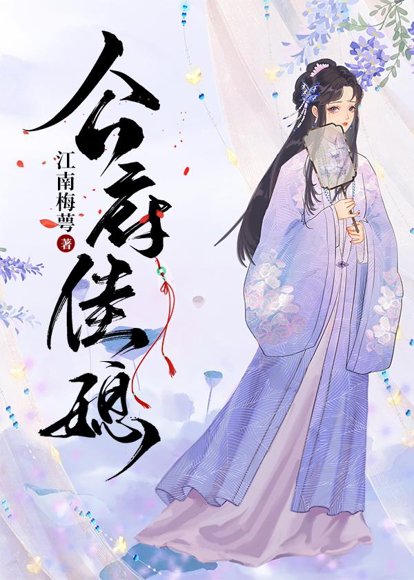 公府佳媳妇