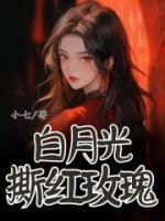 沈明筝楚青行