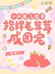 小凤凰战歌