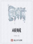 顽贼篱笆好文学